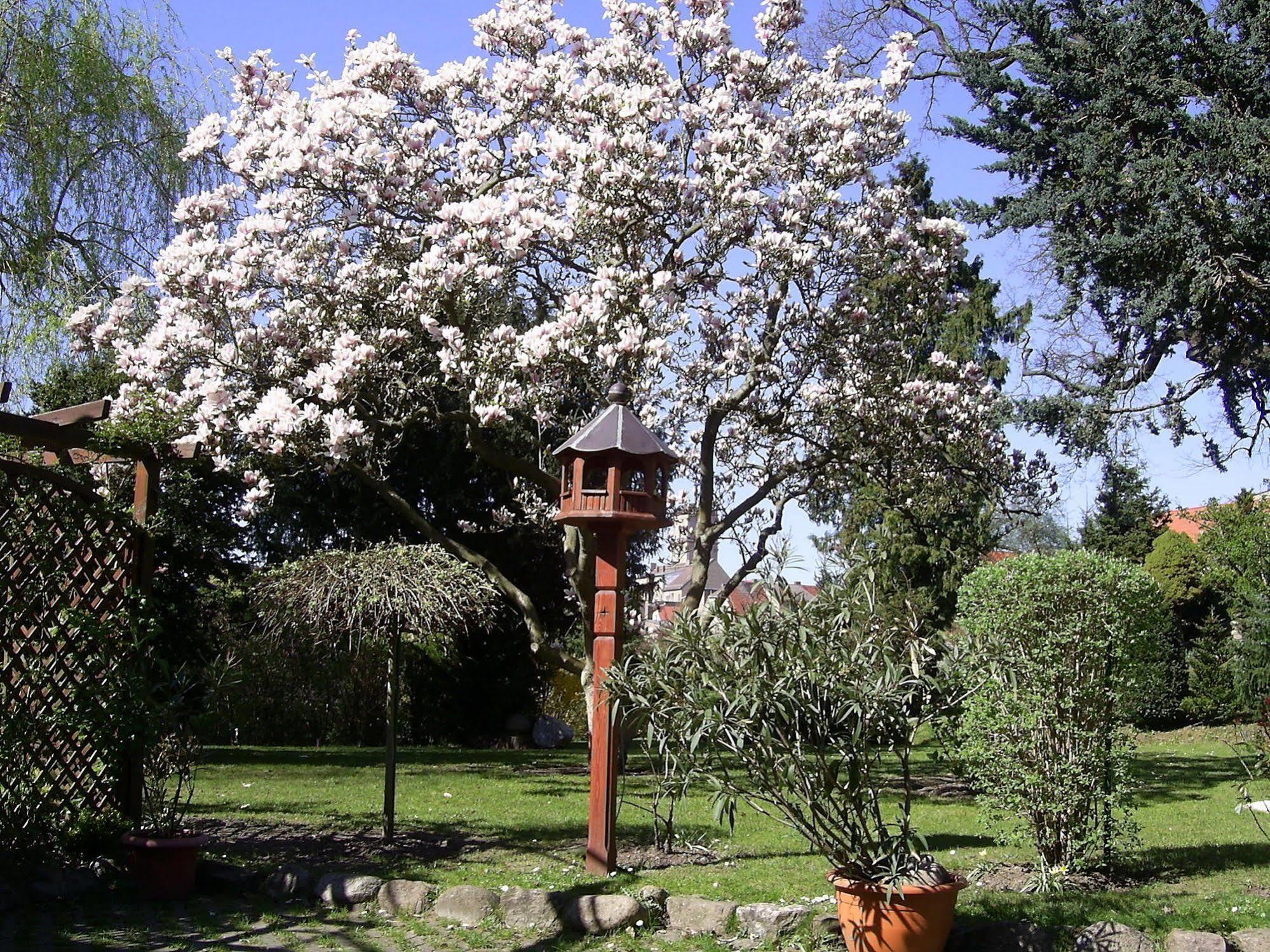 Hotel Garni Schlossgarten Нойстрелиц Екстериор снимка